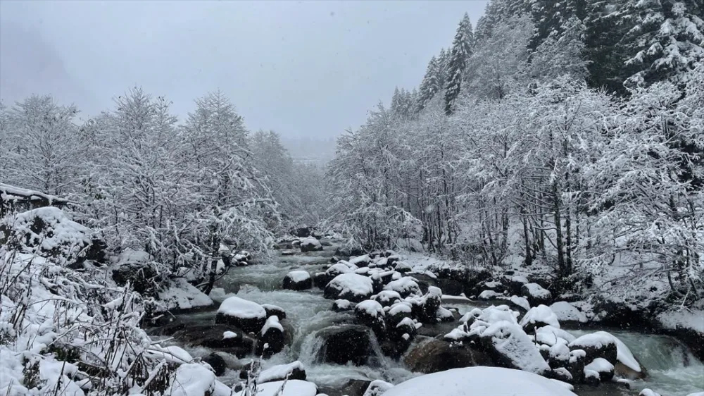 Doğu Karadeniz