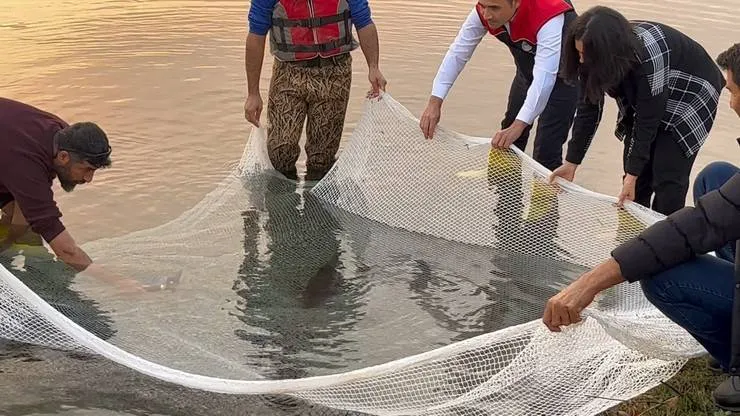 Canlı ‘Leopar Sazanı’nı RTEÜ