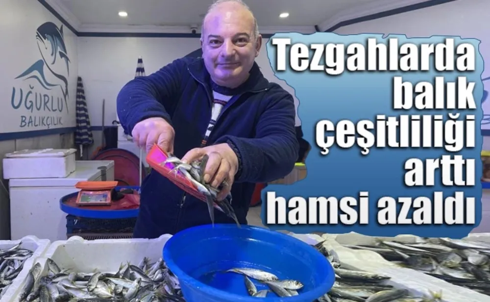 Hamsi Severlere Kötü Haber 