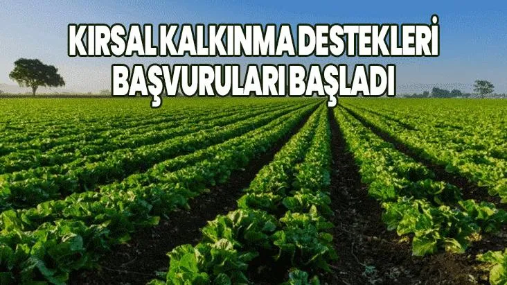 KIRSAL KALKINMA DESTEKLERİ % 50 HİBE PROJE BAŞVURULARI BAŞLADI