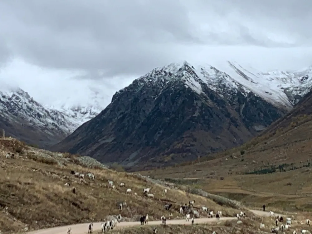 Rize Cimil Yaylasına Mevsimin İlk Karı Düştü