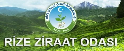 Rize Ziraat Odası; 1 kg Yaş Çayın, Çay Üreticisine Olan Maliyetini Belirledi