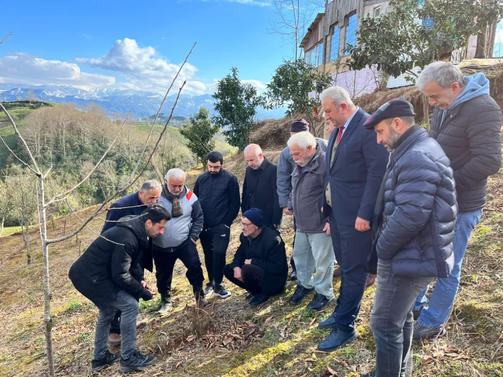 İyidere İlçe Tarım ve Orman Müdürlüğünden Maviyemiş Buda Eğitimi Verildi