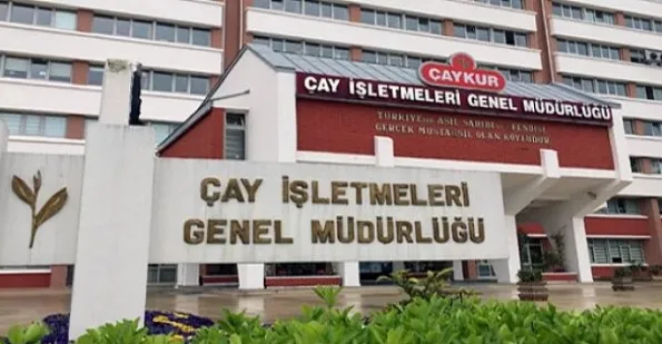 ÇAYKUR, Yaş Çay Alımlarında Yaşanan Yoğunluk Nedeniyle  50 Kilograma Düşürdü