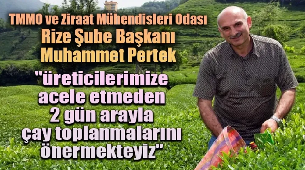 Muhammet Pertek;  