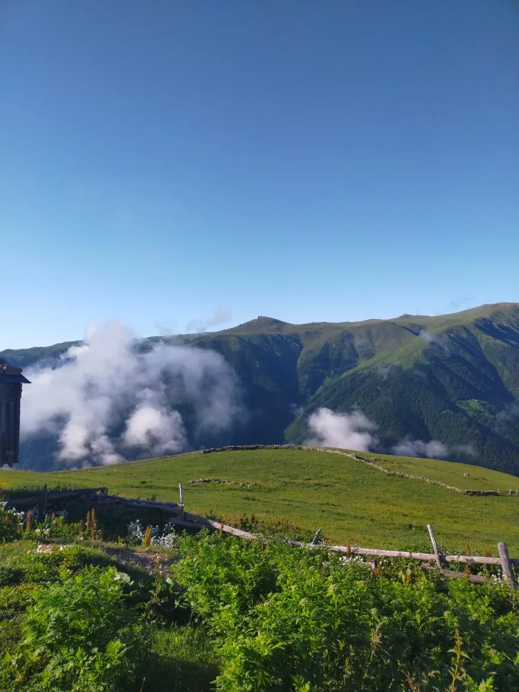 Yapay Zeka Yaptığı Analiz Sonucu, Rize