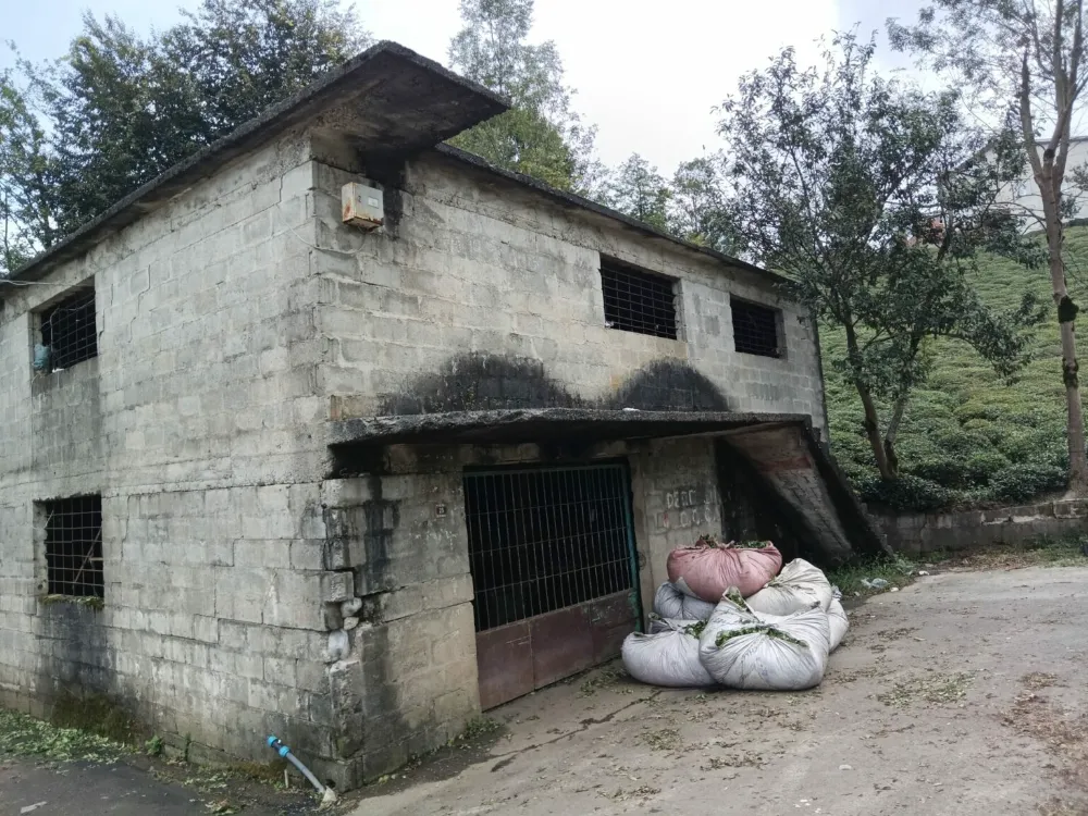 ÇAYKUR ÇAY ALİM EVLERİ,MİLADINI DOLDURDU..