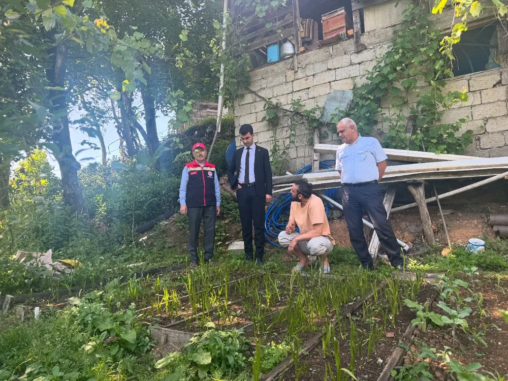 Kalkandere Kaymakamı Sayın Alpay DİNCEL, Salep Bahçelerini Ziyaret Etti