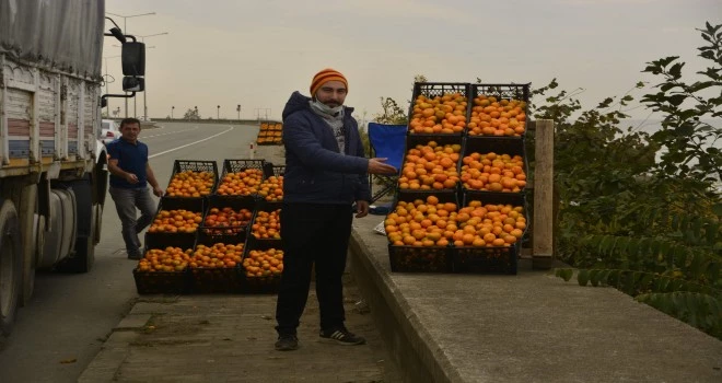 Çaydan sonra mandalina