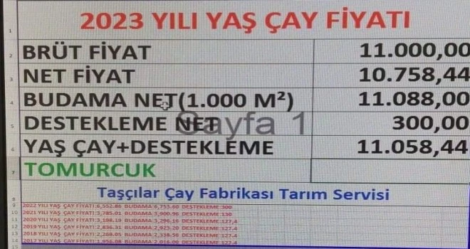 YAŞ ÇAY ALIM FİYATINI DESTEKLEME DAHİL AÇIKLADI. 2023 YILI YAŞ ÇAY ALIM FİYATI 11.30 KURUŞ OLDU