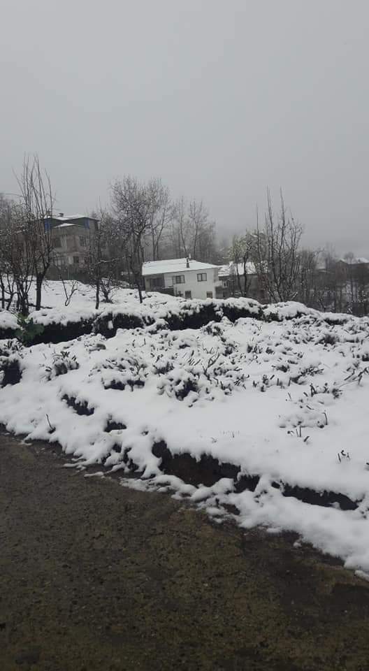 16 Mart 2020 Kalkandere'den kar manzaraları