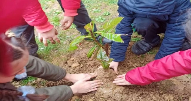 Bahçeler Toprak Olsun, Gençler Meyveye Doysun