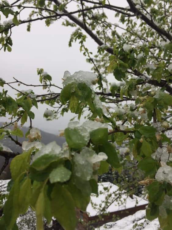 16 Mart 2020 Kalkandere'den kar manzaraları