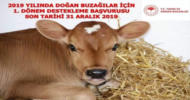 Kalkandere Kaymakamlığından Duyuru