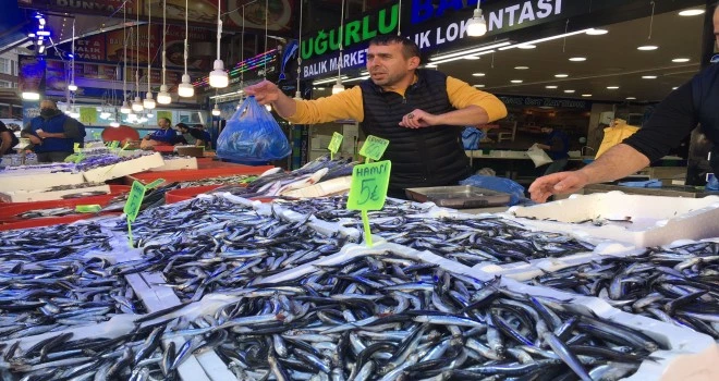 Rize’de Hamsinin Kilosu 5 Liraya Düştü