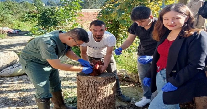 KANATLI HAYVAN SAĞLIĞI ÇALİŞMALARIMIZ