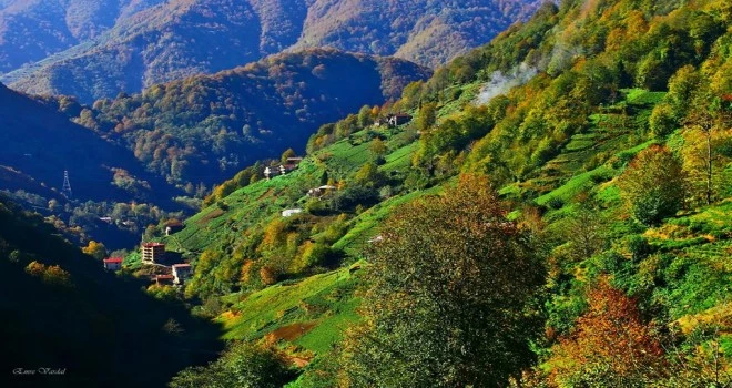 2018 Kasım Güzel Kalkandere