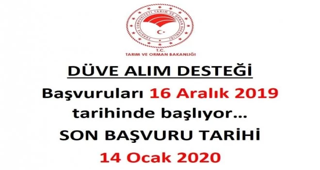 DÜVE ALIM DESTEĞİ BAŞVURULARI BAŞLIYOR...