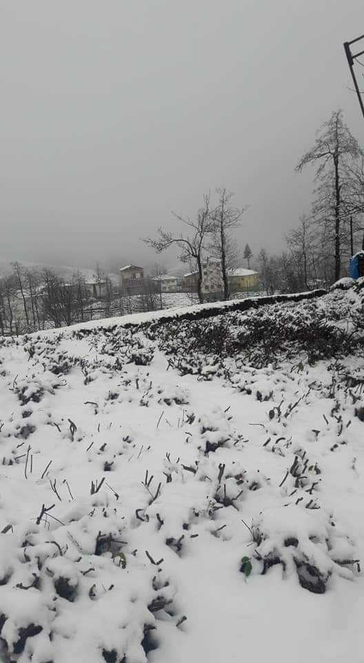 16 Mart 2020 Kalkandere'den kar manzaraları