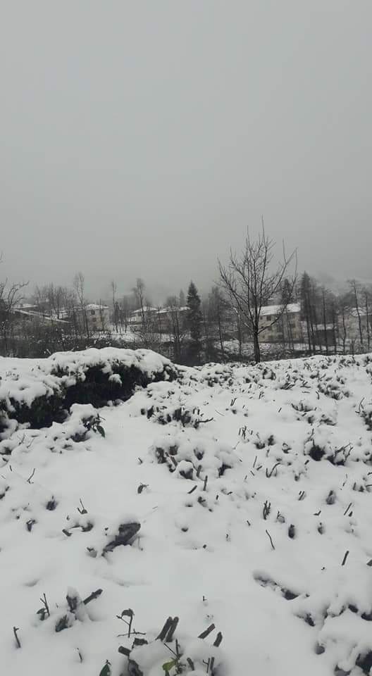 16 Mart 2020 Kalkandere'den kar manzaraları