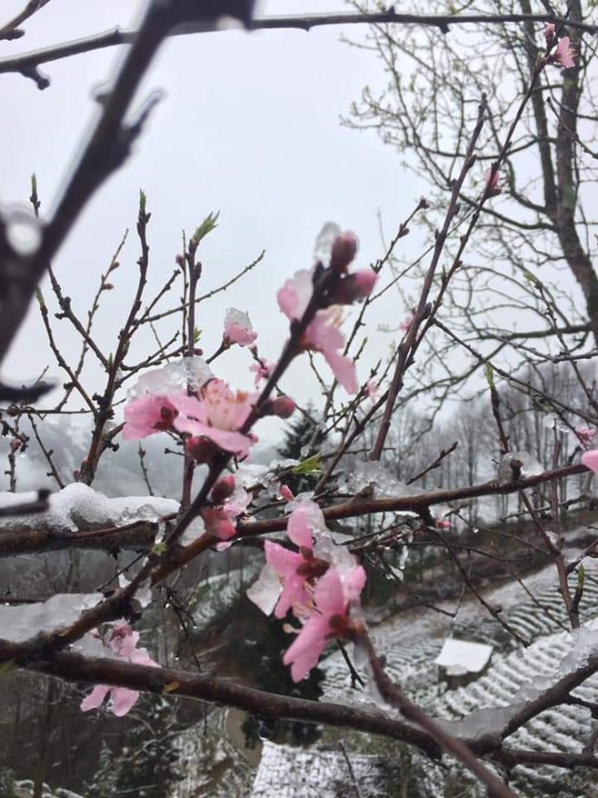 16 Mart 2020 Kalkandere'den kar manzaraları