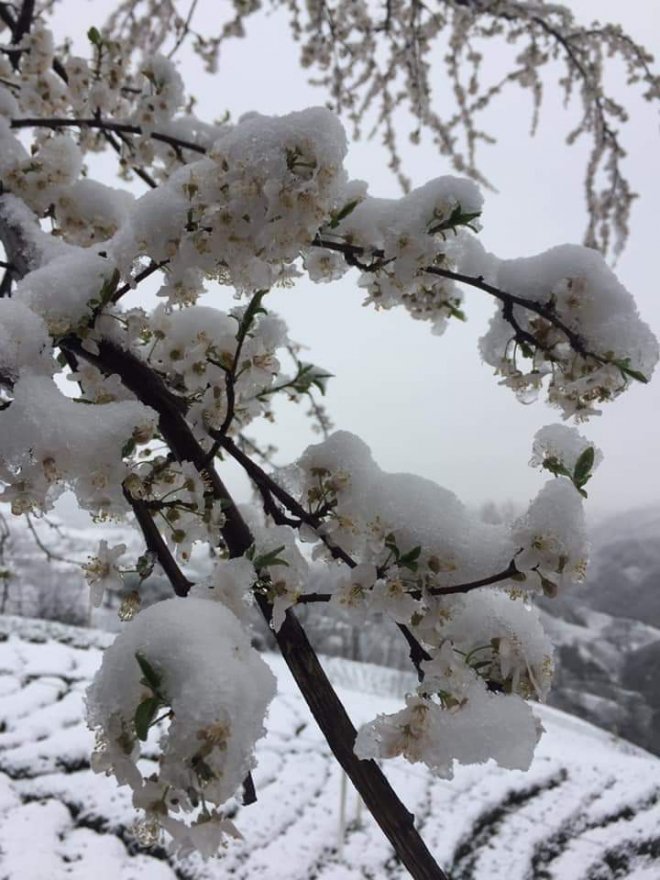 16 Mart 2020 Kalkandere'den kar manzaraları