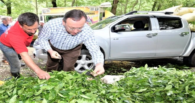 ÇAYKUR’UN ÜRETİMDE VERİMLİLİK, SATIŞ VE TASARRUF HEDEFLERİ BİR BİR TUTUYOR