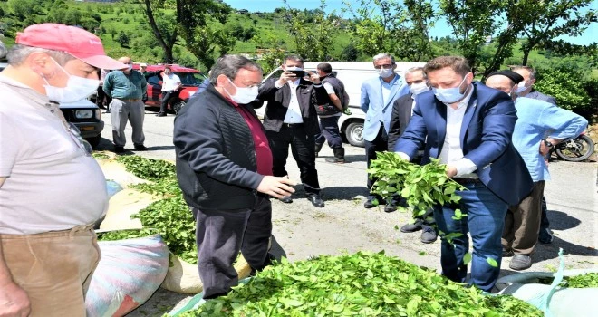 RİZE MİLLETVEKİLİ AVCI’DAN, ÇAYKUR GENEL MÜDÜRÜ ALİM’LE ÜRETİCİ ZİYARETLERİ