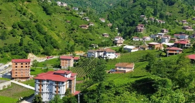 Rize