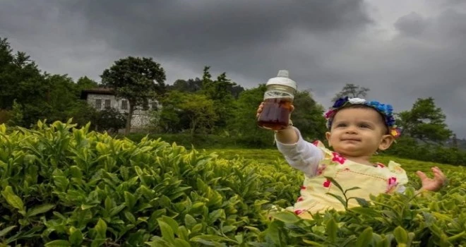 En Güzel Çay İçen Rizeli,Fotoğraf Yarışmasının Kazananları Belli Oldu