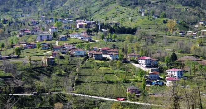 Adım adım Kalkandere Dağdibi mahallesi