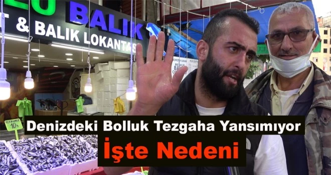 Denizdeki Bolluk Tezgaha Yansımıyor , İşte Nedeni