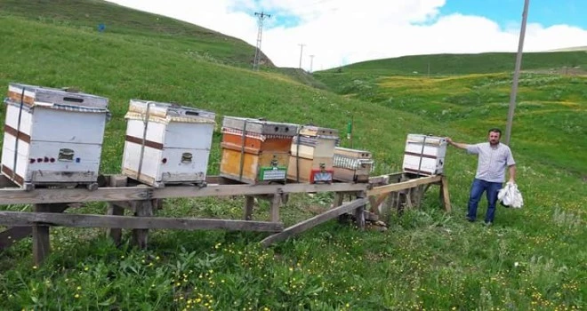 Arıcılar yayla sezonunu açtı