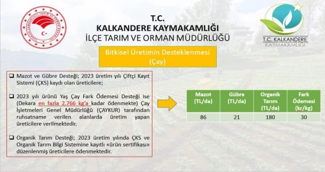 2023 YILI TARIMSAL DESTEKLEMELERİ AÇIKLANDI