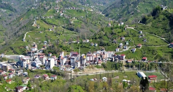 Çay toplamak için Rize