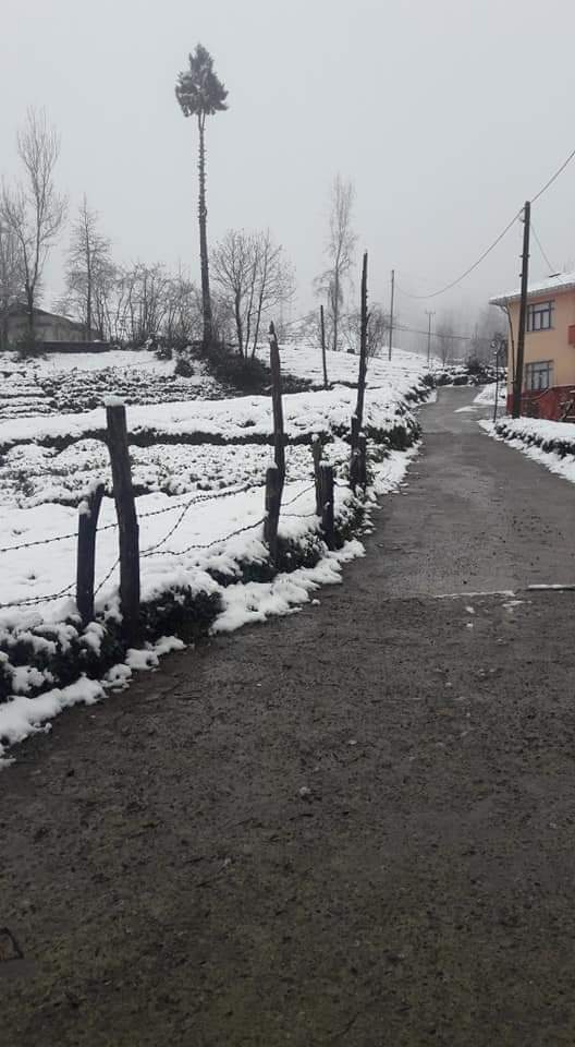 16 Mart 2020 Kalkandere'den kar manzaraları