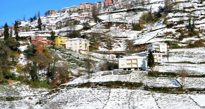 Adım adım Kalkandere Adalar mahallesi