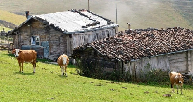 BİR ANDA DORT MEVSİMİ YAŞAMAK