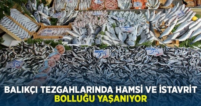 Balıkçı tezgahlarında hamsi ve istavrit bolluğu yaşanıyor fiyatlar gine aynı