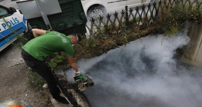 Rize Belediyesi 3 ayrı ekip ile ilaçlama çalışması yapıyor