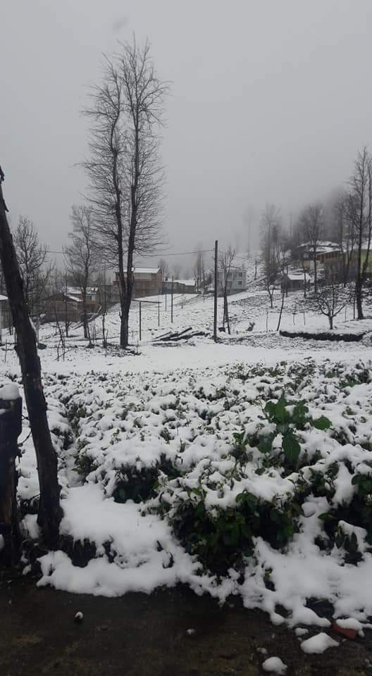 16 Mart 2020 Kalkandere'den kar manzaraları