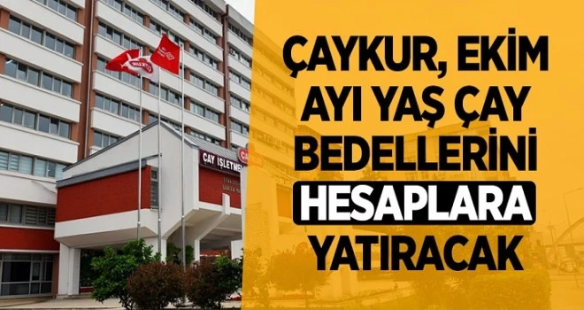 ÇAYKUR, ekim ayı yaş çay bedellerini hesaplara yatıracak