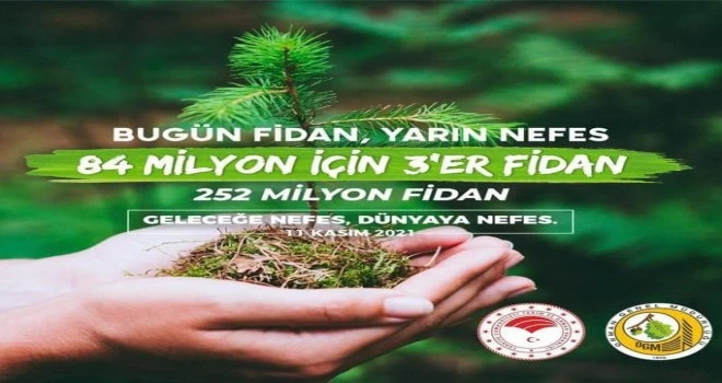 T.C. Kalkandere Kaymakamlığı Bir Fidan Siz Dikin