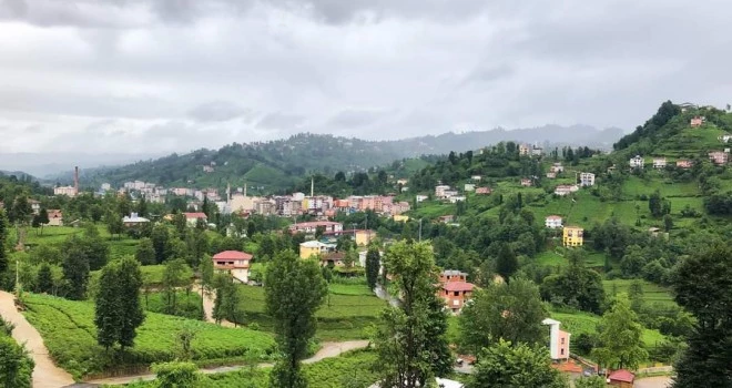 Üçüncü sürgün çay hasadi ilçemizde başladı