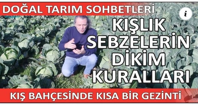 Kış sebzeleri yetiştiriciliği