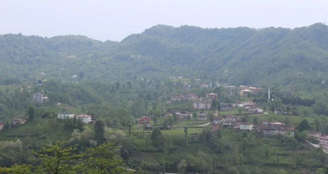 Kalkandere Dağdibi Mahallesi Görünümler