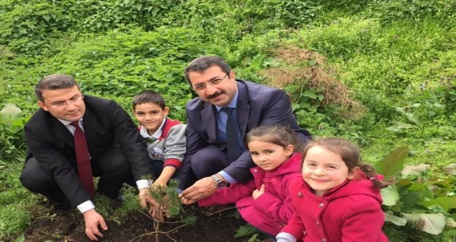 Kalkandere Fidan Dikimi Etkinliği