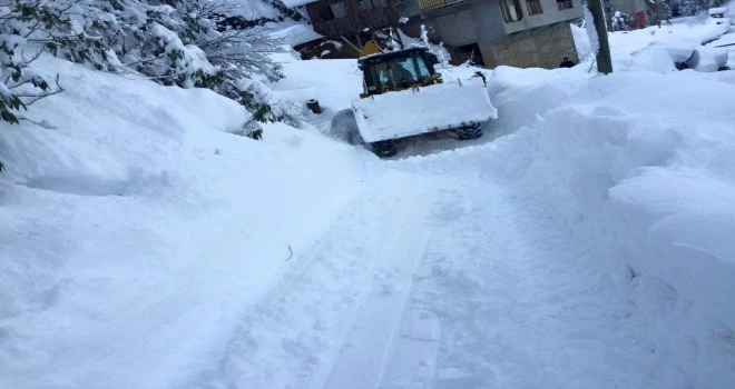 Kalkandere Yeşilköy Esendere Köyü 